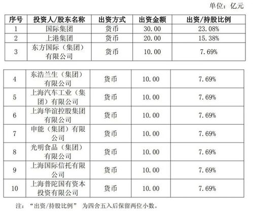 上海新設國企聚焦信息咨詢服務，打造數字化轉型新引擎