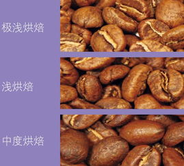 咖啡豆的烘焙 你真的了解嗎？別整天拿鐵卡布，不知道到底喝的啥
